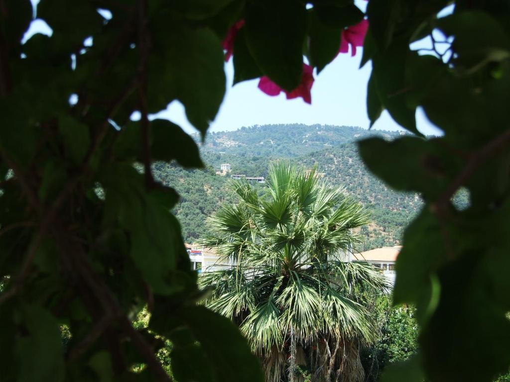 Fotinos House Skiathos Città di Skiathos Esterno foto